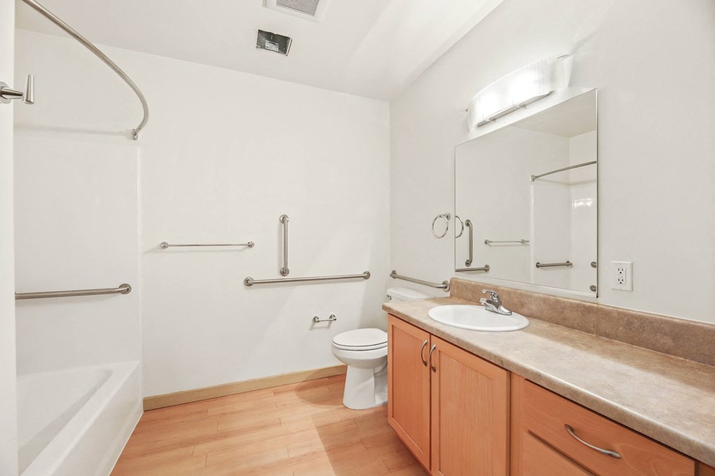 a bathroom with a sink and a toilet and a bath tub
