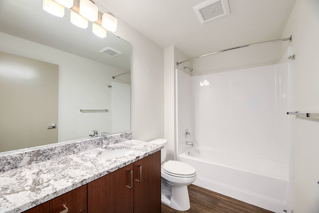 a bathroom with a shower toilet and sink and a mirror
