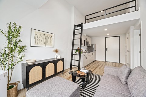 A living room with a grey couch and a black and white striped rug.