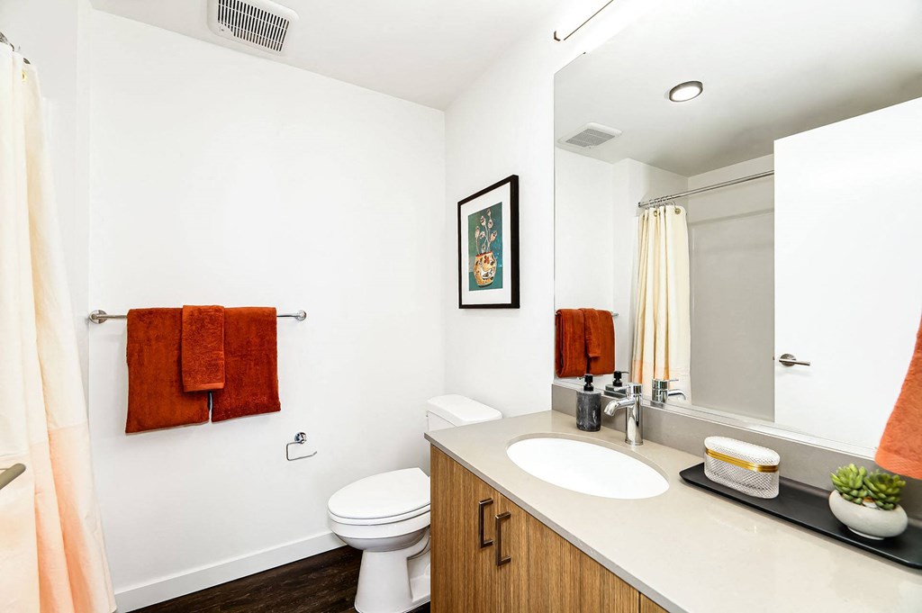 a bathroom with a sink and a toilet and a mirror