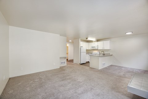 A spacious living area with a kitchen in the background.