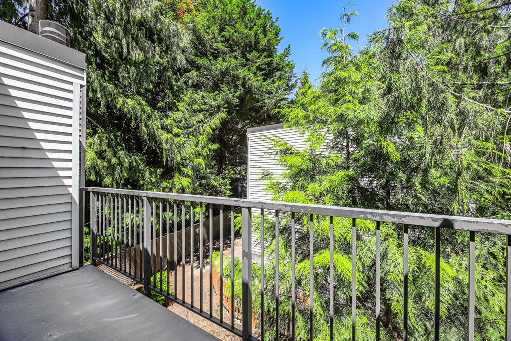 A balcony with a metal railing overlooks a lush green forest.