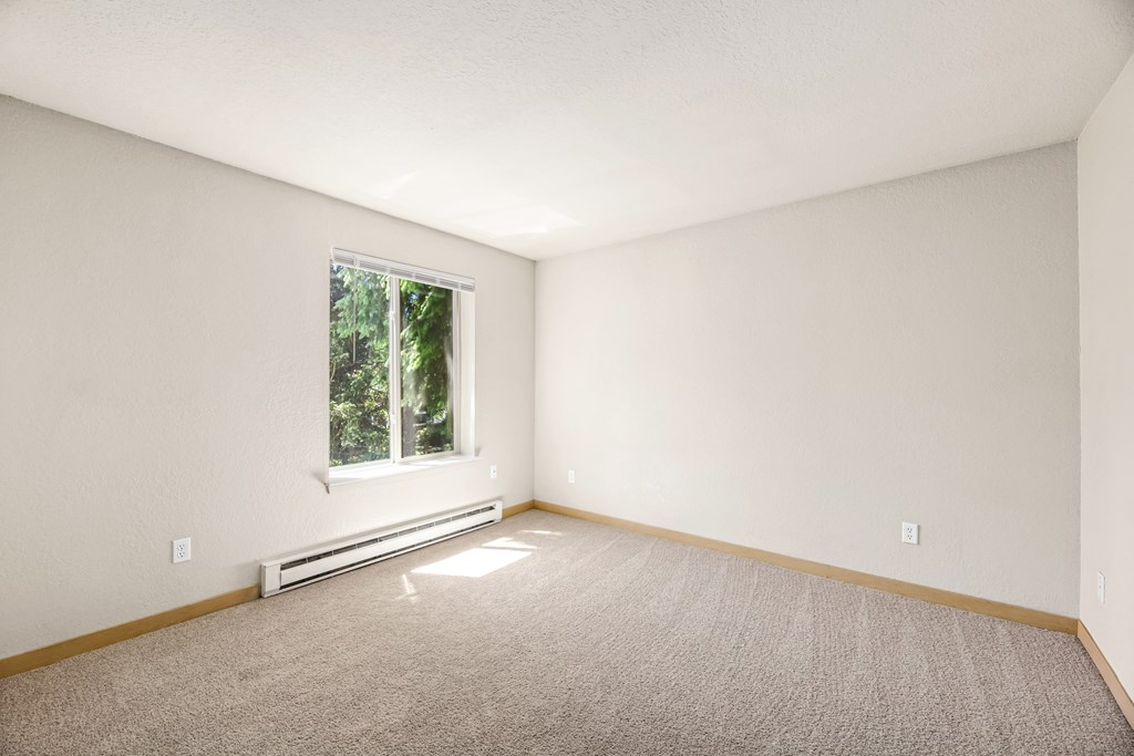 A room with a window and a carpet.