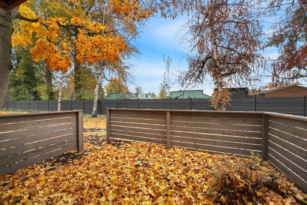 A backyard with a fence and trees with orange leaves.