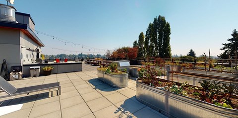 a roof terrace with plants and a view of the city