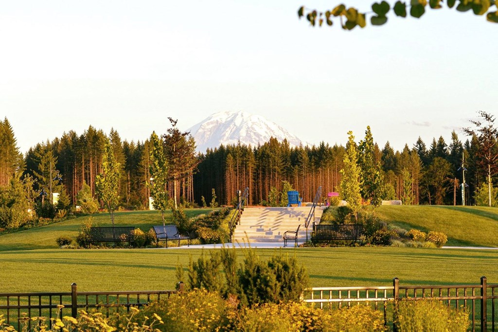 a view of a park with a mountain in the background