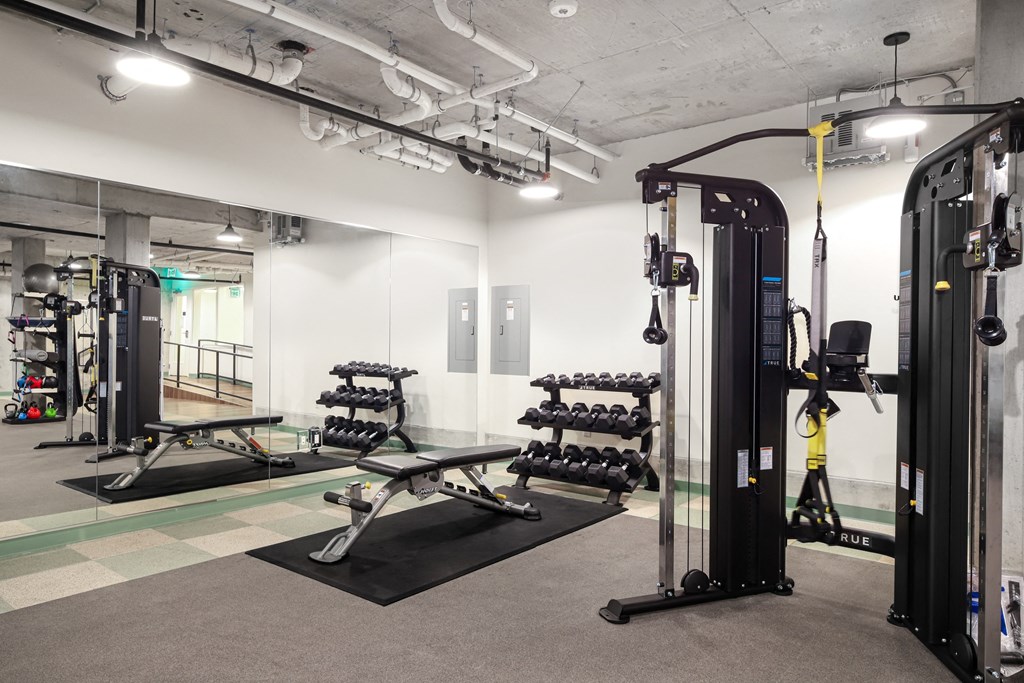 A gym with a variety of equipment including a squat rack, bench press, and a rowing machine.