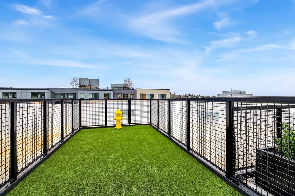 A small fenced yard with a yellow fire hydrant.