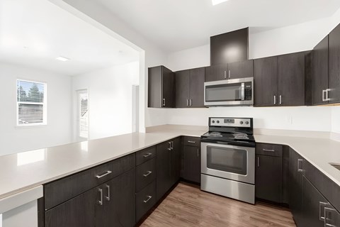 A modern kitchen with black cabinets and stainless steel appliances.