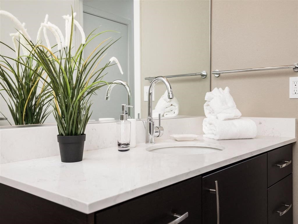 a bathroom with a sink and a mirror and a plant