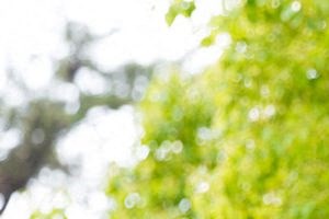Pet Friendly Pet Friendly - Photo Gallery