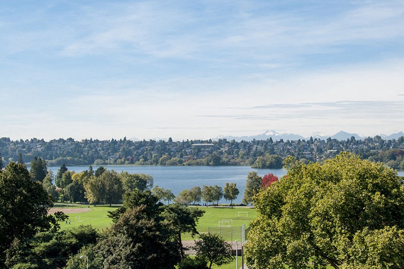 a view of a park with a lake and mountains in the background
