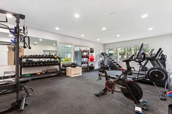 A gym with a variety of equipment including weights, treadmills, and exercise bikes.