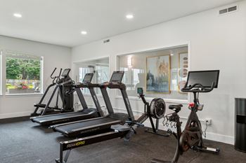 A home gym with a treadmill, exercise bike, and rowing machine.