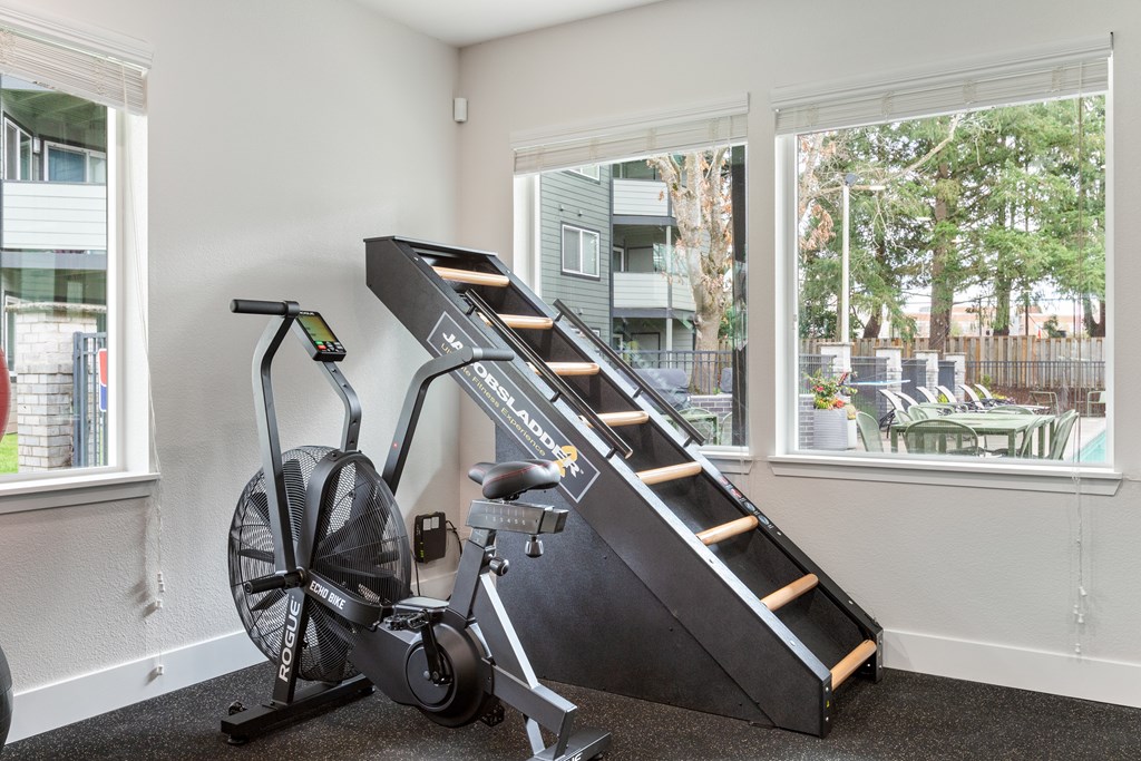 A room with a treadmill and a stair climber.