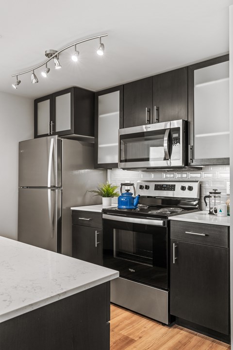 A modern kitchen with black cabinets and stainless steel appliances.