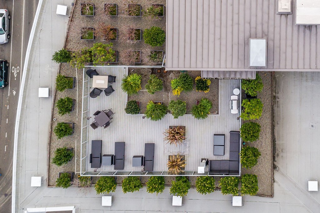 a birdseye view of the courtyard