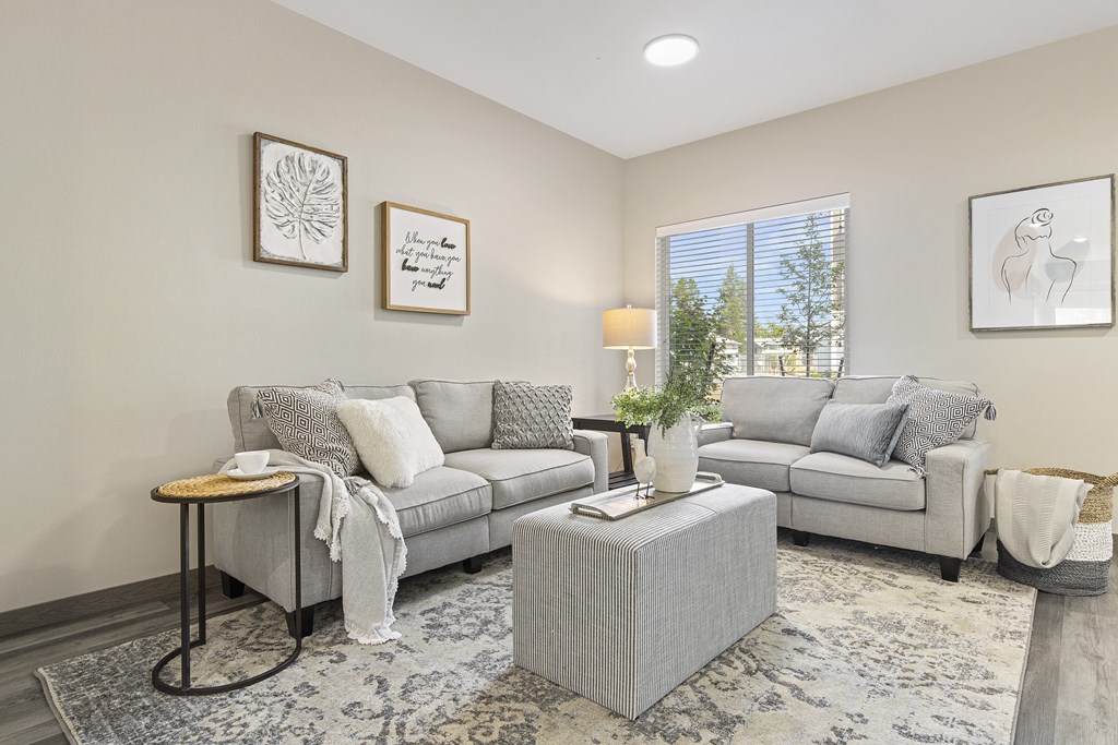 A living room with a grey couch, a coffee table, and a rug.