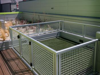 a large dog kennel with grass on the floor