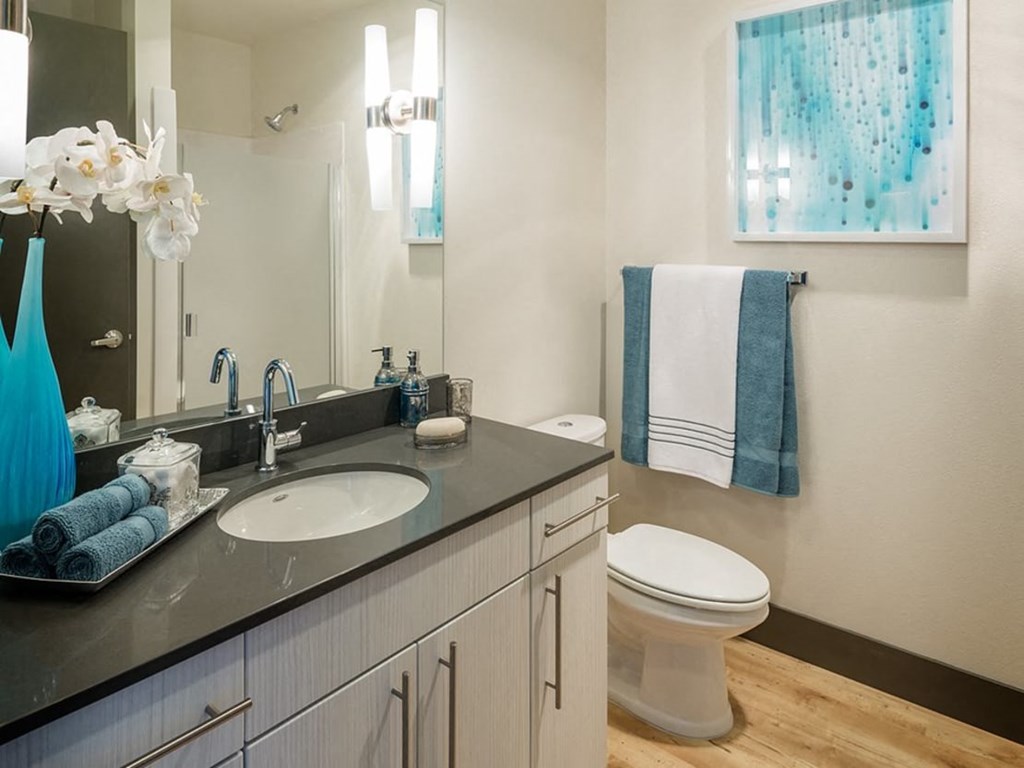 a bathroom with a sink and a toilet