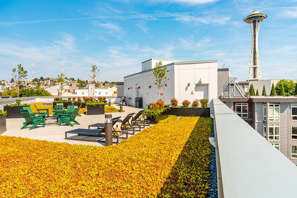 a roof top patio with a view of the space needle in seattle