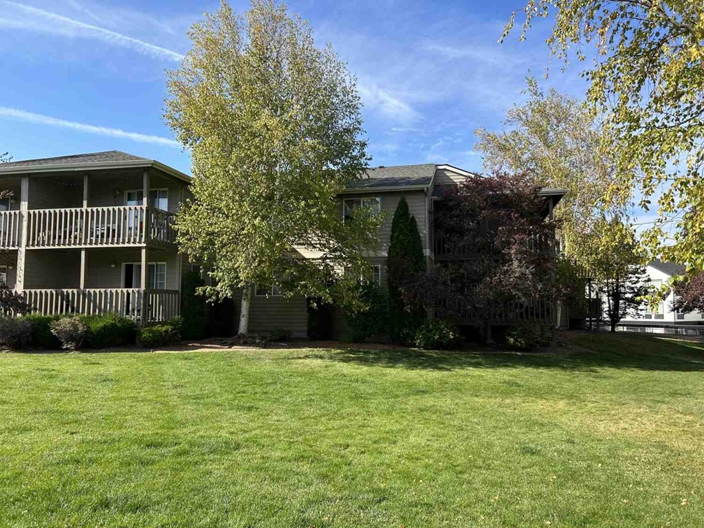 A grassy area in front of a two-story house with a tree in the foreground.