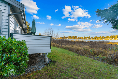 A house with a green bush in front and a field in the background.