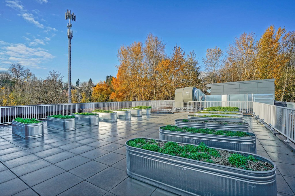 A series of grey planters with green plants in them are lined up on a grey tiled floor.