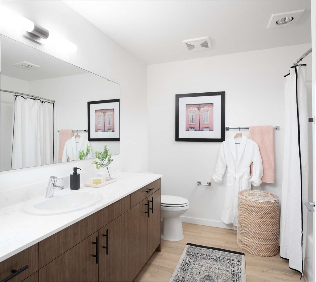 A bathroom with a white sink, a toilet, a shower curtain, a mirror, a rug, and two pictures on the wall.