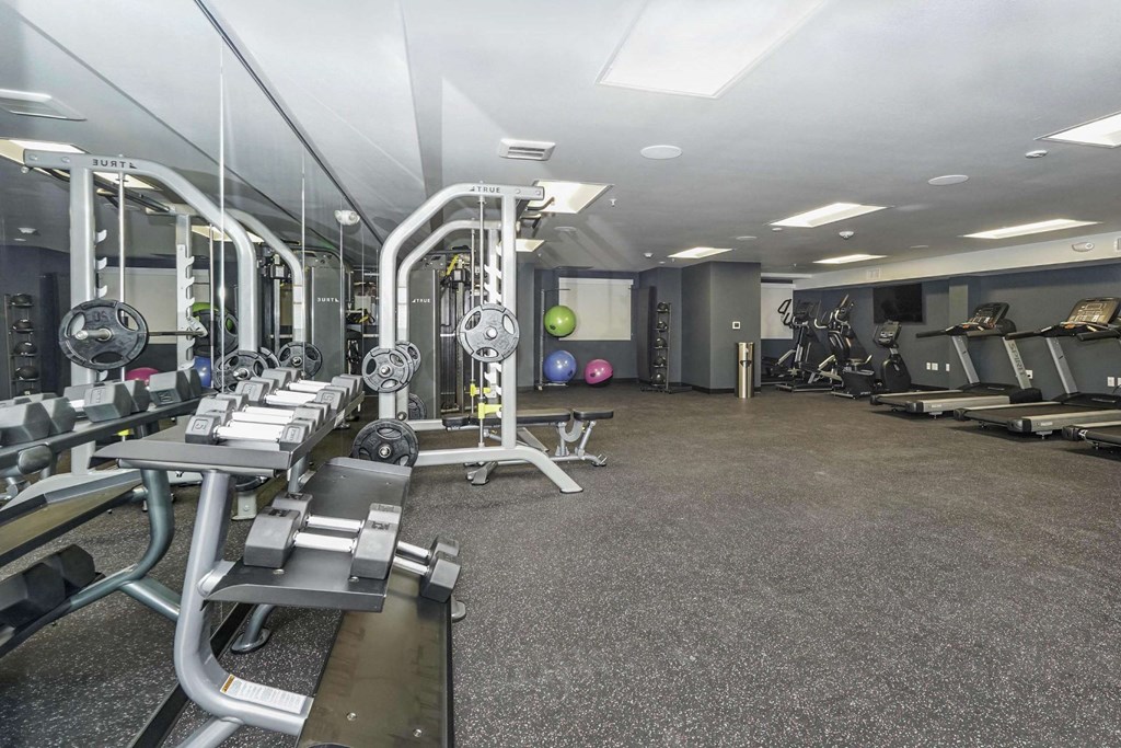 A gym with a variety of equipment including treadmills, weights, and exercise machines.