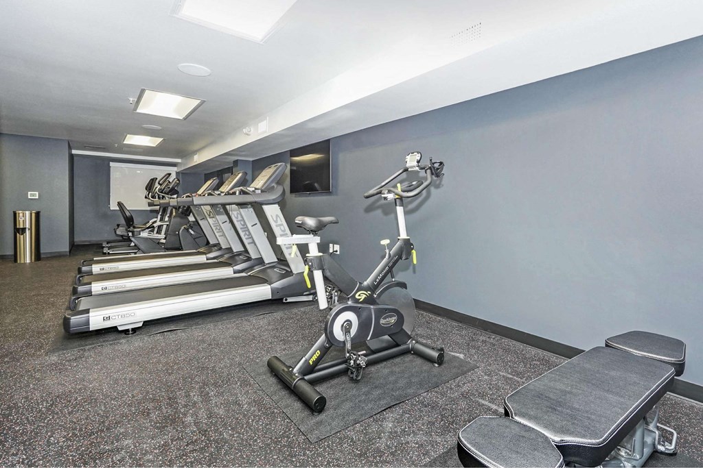 A gym with treadmills, elliptical machines, and a bench.