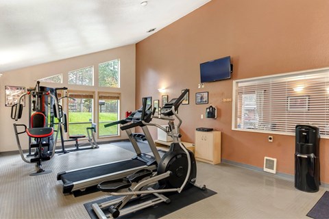 A gym with treadmills, elliptical machines, and a television.