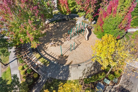 A playground with a slide and swings surrounded by trees with pink and yellow leaves.