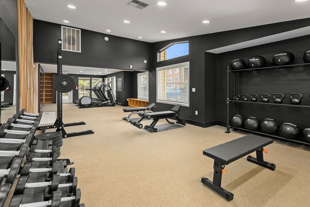 a gym with treadmills and weights on the floor and a large window