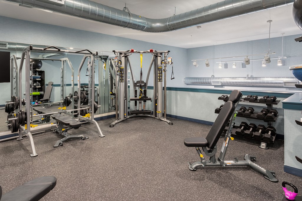 a gym with weights and cardio equipment in a room with blue walls