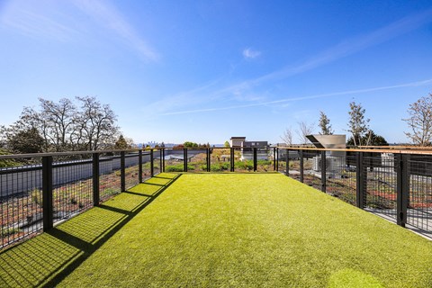 A long, narrow, green lawn runs the length of a black fence.