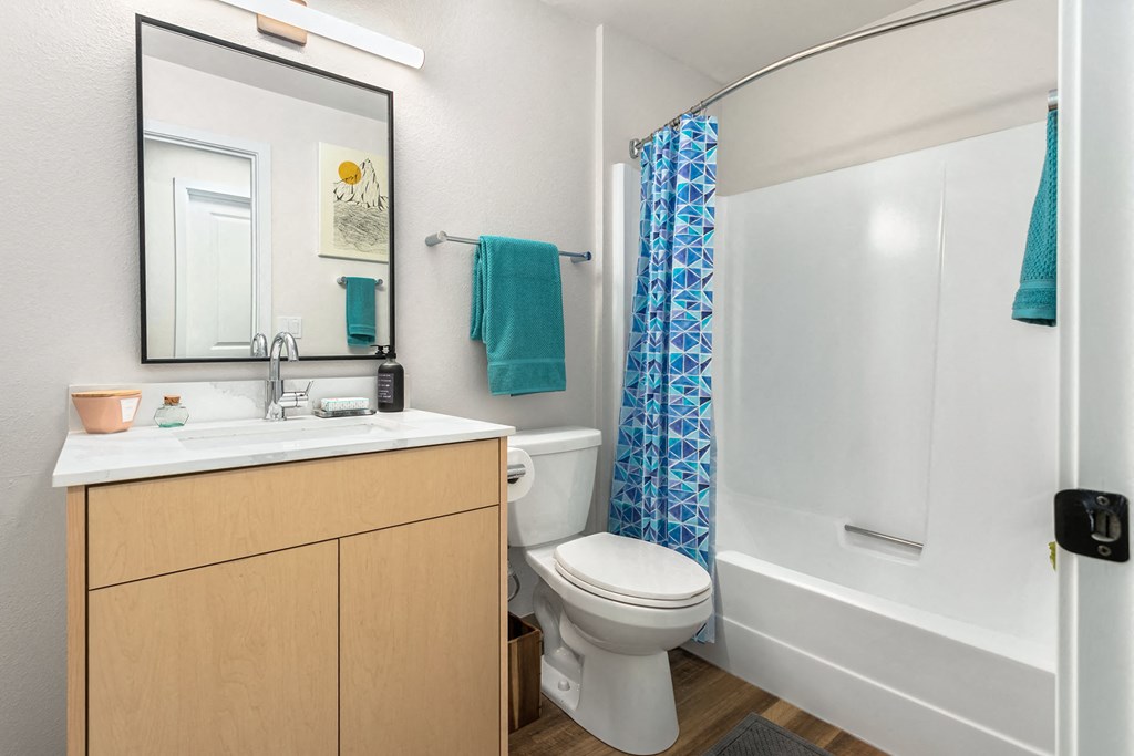 a bathroom with a shower toilet and sink and a mirror