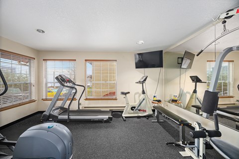 A spacious home gym with a variety of equipment including treadmills, elliptical machines, and weight machines.