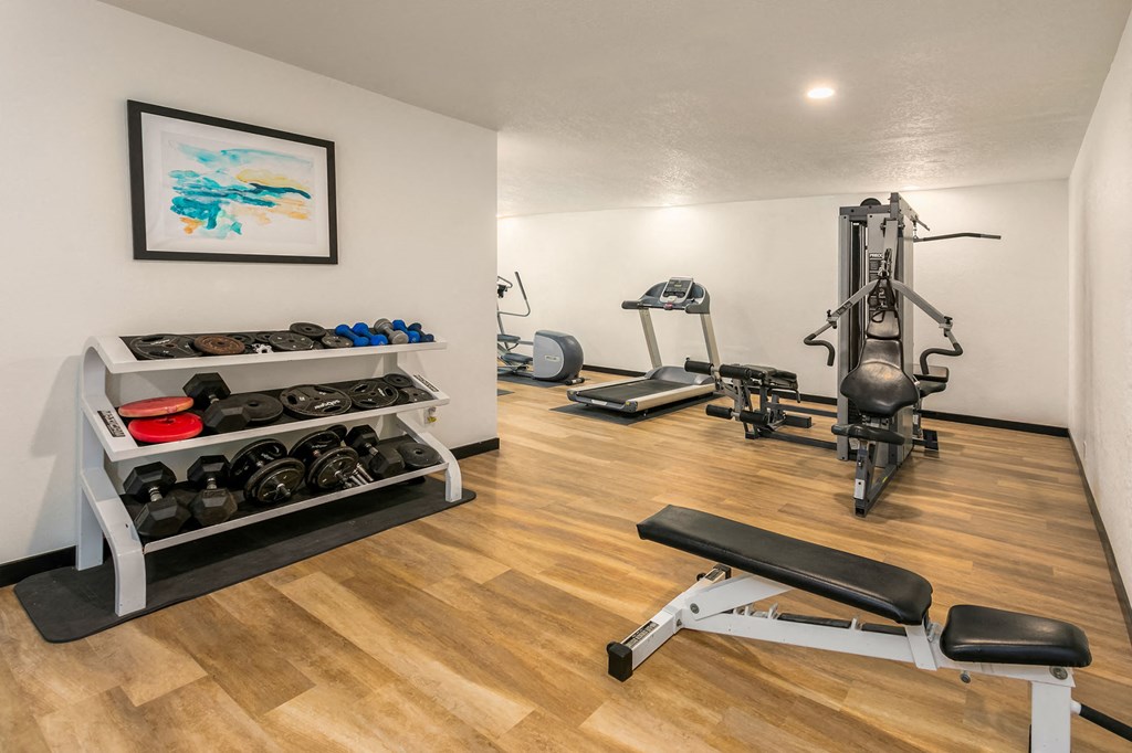 a home gym with exercise equipment and a painting on the wall