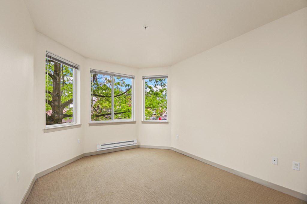 a living room with three windows and a carpet