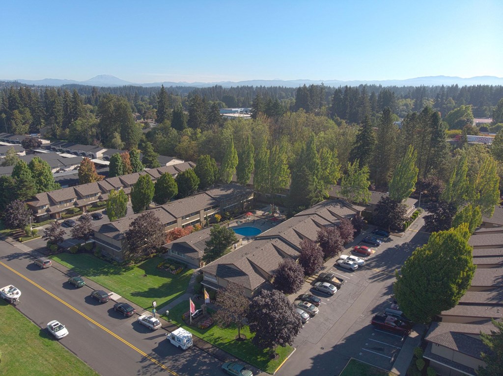 an aerial view of a neighborhood with houses and trees