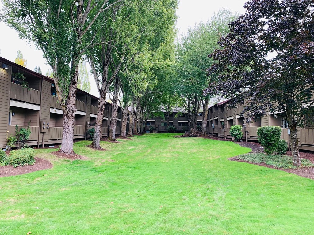 a green yard in front of a building with trees