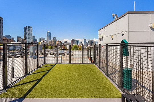 The outdoor dog park on top of the building.