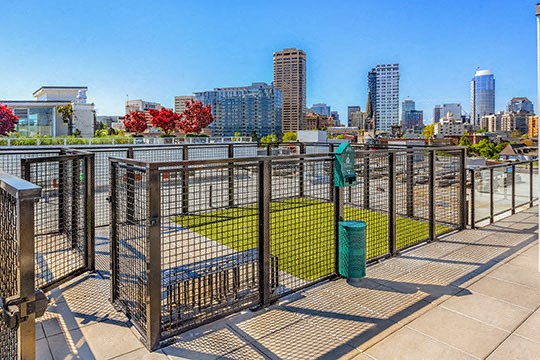 An outdoor dog park on the rooftop overlooking downtown Seattle.