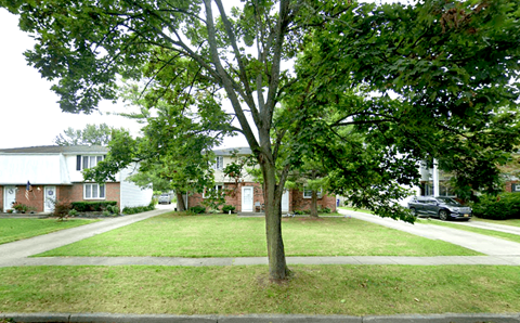 A tree in a grassy area in front of a row of houses.
