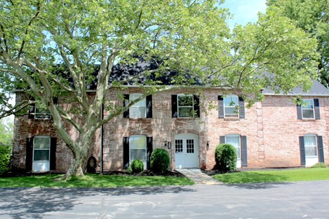 4545 Chestnut Ridge Road #207A 3 Beds Apartment for Rent