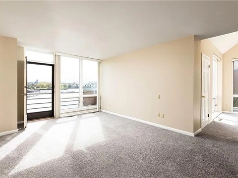 A room with a carpeted floor and a view of the city through a sliding glass door.
