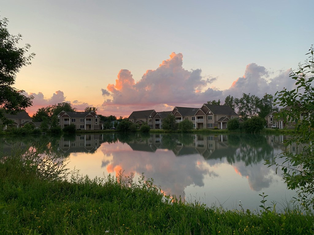 the pond in front of our house at sunset