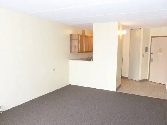 A room with a grey carpet and white walls.