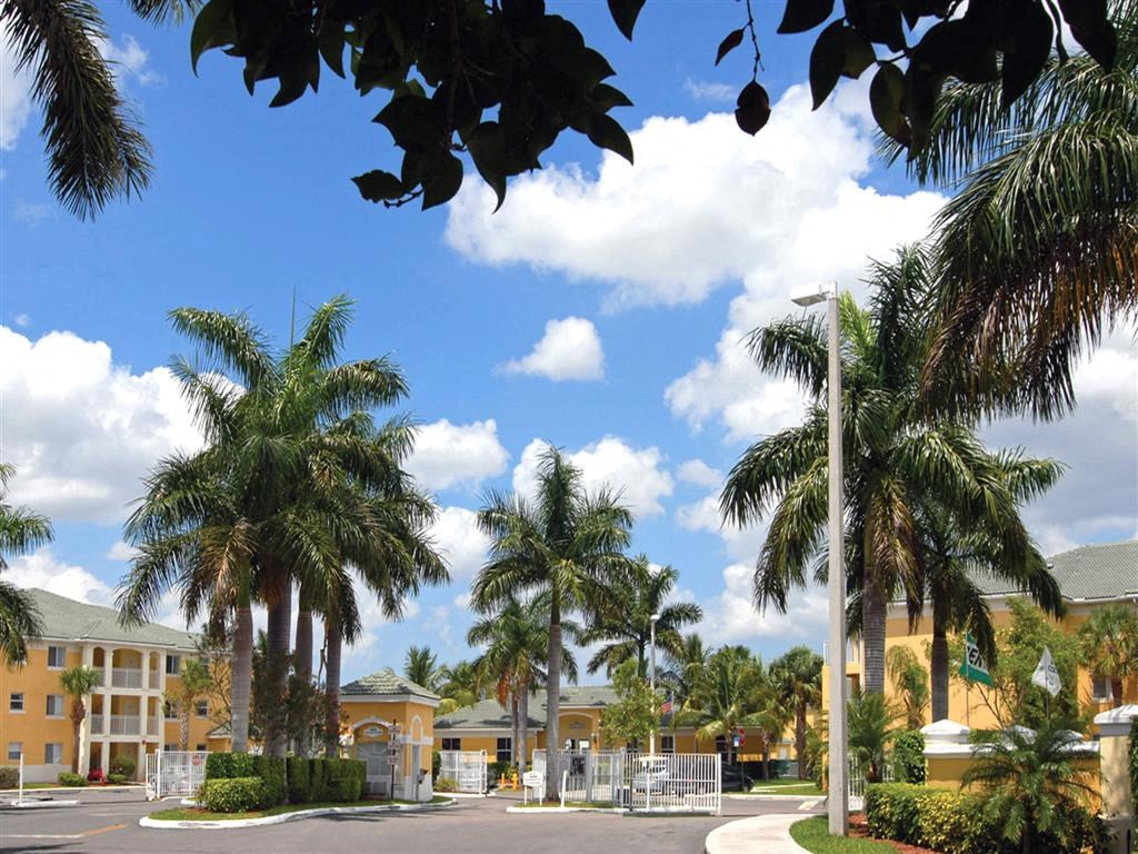 a street with palm trees in front of a building